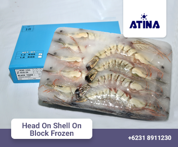 Head On Shell On Block Frozen